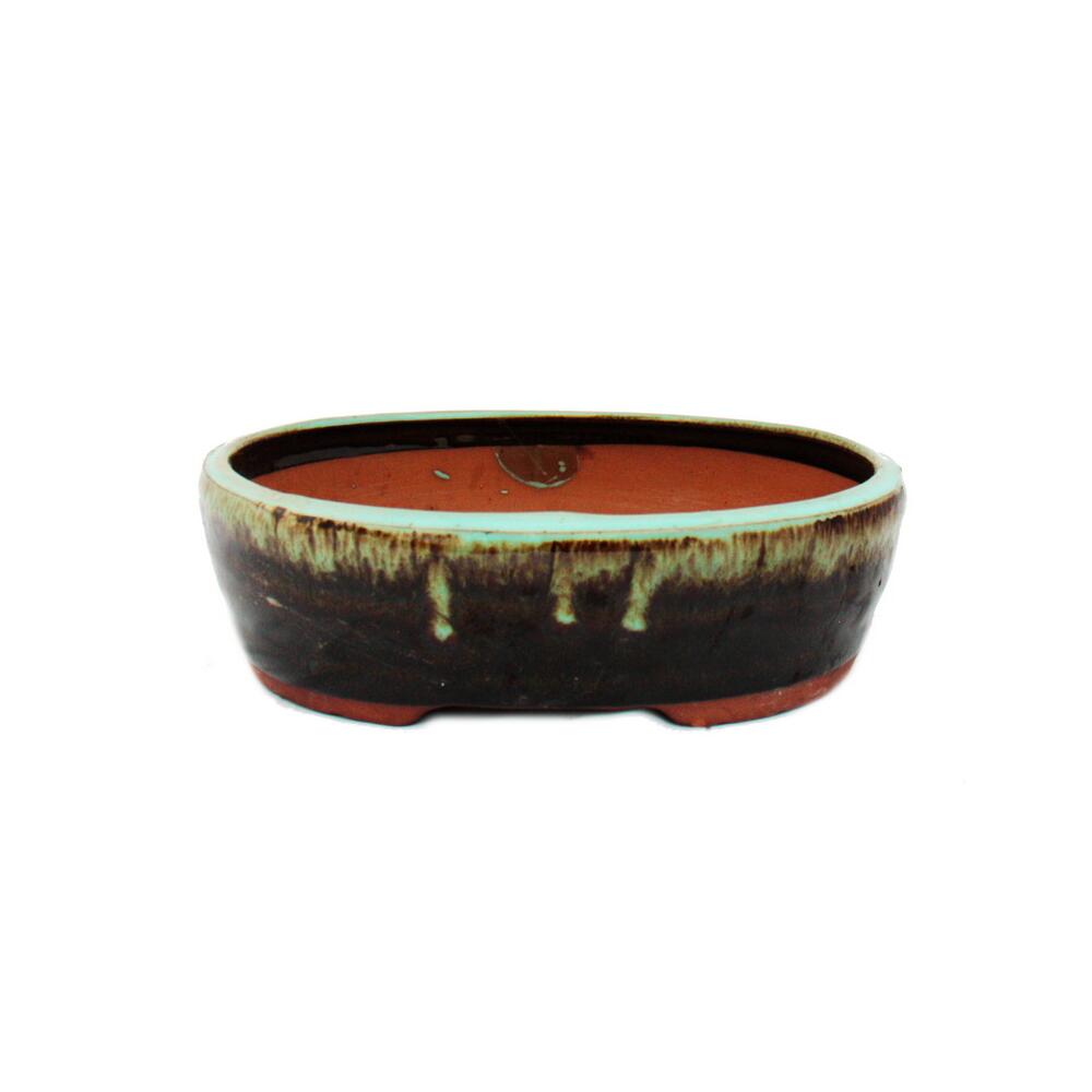 bonsai wall Preserved Bonsai Tree Wall Art  MBD BIOPHILIC DESIGN LLC