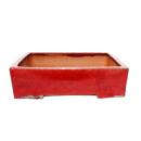 Bonsai pot XXL - rectangular GG1 - red - L41cm x W33cm x...