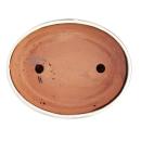 Bonsai bowl with saucer Gr. 3 - special glaze with elegant gradient effect - oval O78 - cream-mocha - L 21cm - W 17cm - H 6cm
