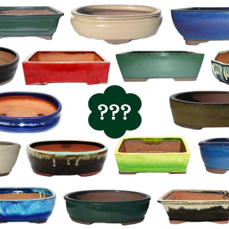 Bonsai bowl size 2 - SPECIAL ITEM - random shape and random color - L approx. 12cm - W approx. 9,5cm - H approx. 4.5cm