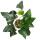 Flamingo flower - Anthurium "Arrow" - 12cm pot
