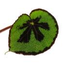 Leaf Begonia - Begonia masoniana Mountain - feuilles brunes avec des marques - pot de 15cm