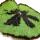 Leaf Begonia - Begonia masoniana Mountain - feuilles brunes avec des marques - pot de 15cm