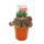 Exclusive houseleek - Sempervivum - unusual collectors variety "China Green" - rarity - 3 plants each in a 5.5 cm pot