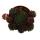 Exclusive houseleek - Sempervivum - unusual collectors variety "China Green" - rarity - 3 plants each in a 5.5 cm pot