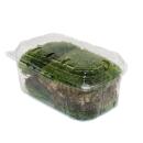Mini-Moos-Box Kugelmoos Bollenmoos Echtes Natur-Moos zum Basteln und Dekorieren kleine Packung ca. 30 cm³ Ideal auf für Pflanzschalen oder Gläser Weißmoos Ballenmoos