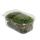 Mini boîte à mousse - véritable mousse naturelle pour lartisanat et la décoration - petit paquet denviron 30 cm³ - idéal pour les bols ou les verres à plantes - boule de mousse - boule de mousse - mousse blanche - boule de mousse