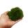 Mini moss box - real natural moss for handicrafts and decoration - small pack approx. 30 cm³ - ideal for plant bowls or glasses - ball moss - ball moss - white moss - ball moss