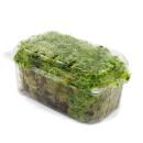 Mini-Moos-Box Sphagnummoos Echtes Natur-Moos zum Basteln und Dekorieren kleine Packung ca. 30 cm³ Ideal auf für Pflanzschalen oder Gläser Torfmoos