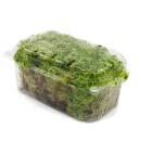 Mini moss box - real natural moss for handicrafts and decoration - small pack approx. 30 cm³ - ideal for plant bowls or glasses - peat moss - sphagnum moss