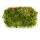 Mini moss box - real natural moss for handicrafts and decoration - small pack approx. 30 cm³ - ideal for plant bowls or glasses - peat moss - sphagnum moss