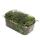 Mini moss box - real natural moss for handicrafts and decoration - small pack approx. 30 cm³ - ideal for plant bowls or glasses - forked moss - dicranales