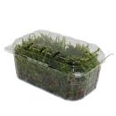 Mini moss box - real natural moss for handicrafts and decoration - small pack approx. 30 cm³ - ideal for plant bowls or glasses - swamp moss - tree ladder moss