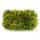 Mini moss box - real natural moss for handicrafts and decoration - small pack approx. 30 cm³ - ideal for plant bowls or glasses - swamp moss - tree ladder moss