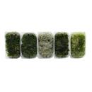 Set of 5 mini moss boxes - real natural moss for handicrafts and decoration - 5 x approx. 30 cm³ - ideal for plant bowls or glasses - large set with 5 different types of moss