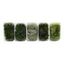 5er Set Mini-Moos-Box Echtes Natur-Moos zum Basteln und Dekorieren 5 x ca. 30 cm³ Ideal auf für Pflanzschalen oder Gläser Großes Set mit 5 verschiedenen Moossorten #1