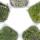 Set of 5 mini moss boxes - Real natural moss for handicrafts and decoration - 5 x approx. 30 cm³ - Ideal for plant bowls or glasses - Large set with 5 different types of moss #1