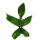 Philodendron Florida Beauty Green - Baumfreund - 15cm Topf am Spalier