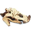 Mopani Root Size L 23-29cm