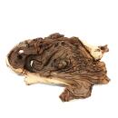 Mopani Root Size L 23-29cm