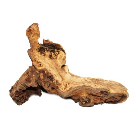 Mopani Root Size S 12-18cm