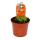 Fleischfressende Pflanze - Wasserschlauch - Utricularia sandersonii - 9cm Topf - Rarität