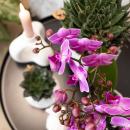 Kolibri Orchids | Lila/rosa Phalaenopsis Orchidee - Mineral Vienna - Topfgröße 9cm | blühende Zimmerpflanze - frisch vom Züchter