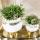 Kolibri Greens | Rhipsalis Satz von 2 Pflanzen in Gold Le Chic dekorative Töpfe - Keramik Topf Größe 9cm