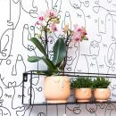 Complete plant set Happy Face | Green plant set with orange phalaenopsis orchid and includes decorative ceramic pots