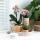 Ensemble complet de plantes Happy Face | Plante verte sertie dorchidée phalaenopsis orange et comprend des pots décoratifs en céramique