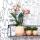 Ensemble complet de plantes Happy Face | Plante verte sertie dorchidée phalaenopsis orange et comprend des pots décoratifs en céramique