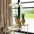 Kolibri Company Komplettes Pflanzenset Face-2-face gold Grünes Pflanzenset mit weißer Phalaenopsis Orchidee und Rhipsalis inkl. Keramik Ziertöpfe & Zubehör