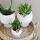 Complete plant set Scandic white | Green plant set with white phalaenopsis orchid and succulents including decorative ceramic pots