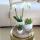 Complete plant set Scandic white | Green plant set with white phalaenopsis orchid and succulents including decorative ceramic pots