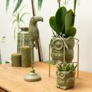 Pflanzenset Eule grün | Set mit weißer Phalaenopsis Orchidee 9cm und grüner Sukkulente 6cm | inkl. Keramik-Ziertöpfe