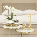 Kolibri Orchids Weiße Phalaenopsis Orchidee Amabilis + Le Chic dekorativer Topf gold Topfgröße 9cm 40cm hoch blühende Zimmerpflanze im Blumentopf frisch vom Züchter