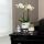 Orchidées Colibri | Orchidée phalaenopsis blanche - Amabilis + Le Chic pot décoratif argent - taille du pot 9cm - hauteur 40cm | plante dintérieur en fleurs dans un pot de fleurs - fraîche du producteur
