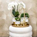 Hummingbird Company | Complete plant set Luxury Living | Green plants with white phalaenopsis orchid including decorative ceramic pots and accessories