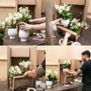 Complete plant set Romance | Green plants with pink phalaenopsis orchid including decorative ceramic pots and accessories