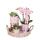 Komplettes Pflanzenset Romantik Grünpflanzen mit rosa Phalaenopsis-Orchidee inkl. Keramik-Ziertöpfe und Zubehör