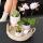 Komplettes Pflanzenset Romantik Grünpflanzen mit rosa Phalaenopsis-Orchidee inkl. Keramik-Ziertöpfe und Zubehör