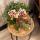 Kolibri Orchids | Gelbe rote Phalaenopsis-Orchidee - Spanien + Glasierter Ziertopf Cognac - Topfgröße 9cm - 40 cm hoch | Blühende Zimmerpflanze - frisch vom Züchter