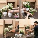 Kolibri Company - Pflanzenset Zen face nude | Set mit altrosa Phalaenopsis Orchidee 12cm und Grünpflanze Sansevieria 9cm | inkl. nudefarbenen Keramik-Ziertöpfen