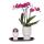 Kolibri Company - Orchidée pourpre et succulentes sur plateau noir - Frais du producteur