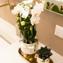 Kolibri Company - Set aus weißer Orchidee und Sukkulente auf goldenem Tablett