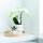 Hummingbird Orchids | COMBI DEAL of 2 white Phalaenopsis Orchids - Amabilis - pot size 9cm | flowering houseplant - fresh from the grower