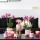Kolibri Orchids | COMBI DEAL von 2 rosa lila Phalaenopsis Orchideen - El Salvador - Topfgr&ouml;&szlig;e 9cm | bl&uuml;hende Zimmerpflanze - frisch vom Z&uuml;chter