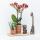 Kolibri Company - Yellow Red Orchid and Succulent Plant Set on Bamboo Tray