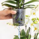 Kolibri Orchids| lila Pflanzenset im Baumwollkorb inkl. Wassertank | drei lila Orchideen und drei Gr&uuml;npflanzen Rhipsalis | Feldstrau&szlig; lila mit autarkem Wassertank