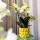 Kolibri Company | Set cadeau optimisme Set de plantes avec orchidée Phalaenopsis orange et plantes succulentes, y compris pots décoratifs en céramique
